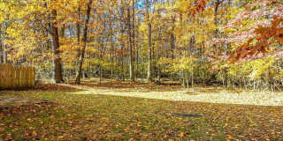 536 Elsie Avenue Gallery 25