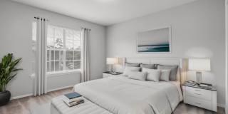 Carolina Pines Gallery 7