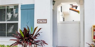 The Isles Gallery 25