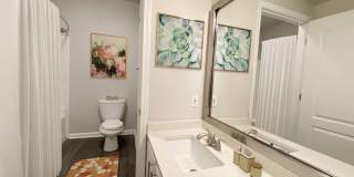 The Aster Buckhead Gallery 26