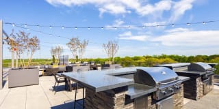 The Lindley Gallery 19