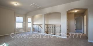 10348 Obernai Path Gallery 21