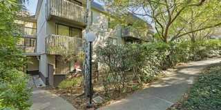 2159 Shelter Creek Lane Gallery 23