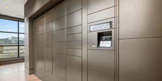 Madison West Elm Gallery 83