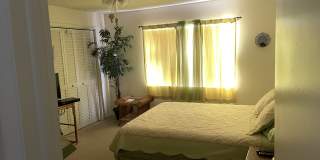 1830 Brantley Rd Gallery 14