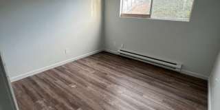 Newly Renovated - 3 Bedroom, 2 Bathroom Apartment - Pacific Terrace Gallery 6