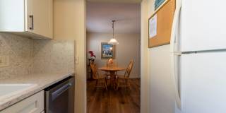 308-1-F-HL Gallery 19