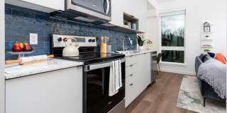 Alexan Main Street Gallery 51