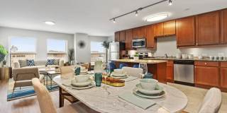 River 595 Gallery 1