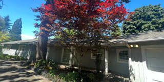 South Cliff 5 bd 4.5 ba Beauty - Established Landscape! South Cliff 5 bd 4.5 ba Beauty - Established Landscape! Gallery 1
