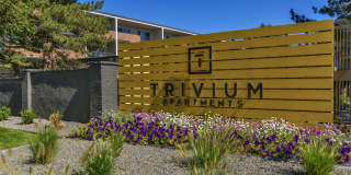 Trivium Gallery 10