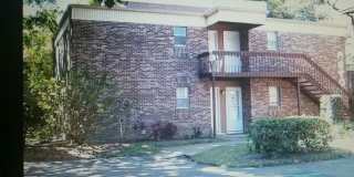 Cute Studio in the heart of Tampa Gallery 1