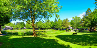 Woodlake Apartments Gallery 11