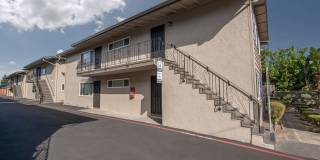 Buena Vista Gallery 3