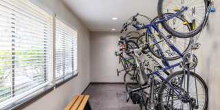 Alder Bellevue Gallery 27