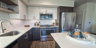 Modera South Lake Union Gallery 11