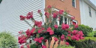 153 Holcomb Ferry Road Gallery 1