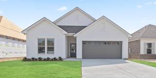 107 Lotus Street Gallery 1