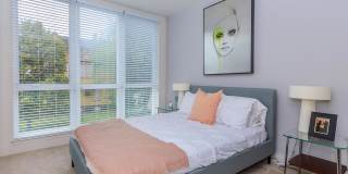 The Waypointe Apartments The Waypointe Apartments Gallery 54