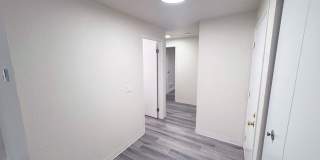 Wellington Place Apartments Gallery 50