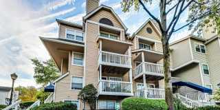 10821 HAMPTON MILL Terrace Gallery 1