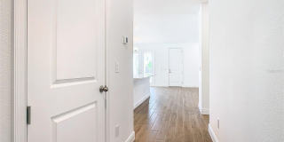11165 GREEN CITRON Alley Gallery 4
