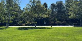 80 Cipresso Gallery 39