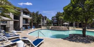 The Lynx The Lynx Gallery 5