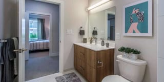 Tempo Cambridge Gallery 53