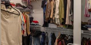 13939 Prickly Cone Cv Gallery 18