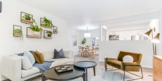 Dylan Apartments Gallery 4