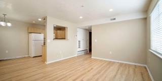 SzalsBro (3 Condo) Gallery 3
