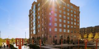 Greenhouse Gallery 62