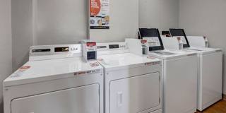 Russian Jack Gallery 13