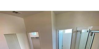 7829 Stylus Gallery 26