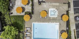 Seville at Mace Ranch Gallery 37