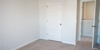 391 Coconut Drive Gallery 23