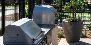 Sharon Green Gallery 24