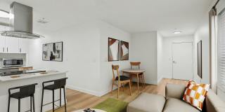 Noda Gallery 12