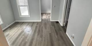 98 Fern Street - 1 Gallery 1