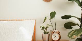 Village Manor Gallery 20