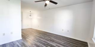 Cameron Creek Gallery 13