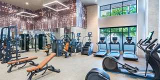 Modera LoSo Gallery 40