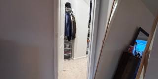 4959 Lexi Ln - 1 Gallery 49