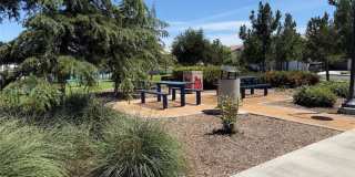 16458 Globetrotter Gallery 41