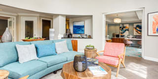 Sofi Westview Gallery 30