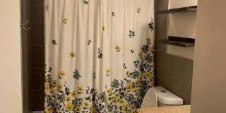 4 bed/2 bath Home located in central Fort Collins off Drake Gallery 14