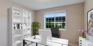 Avana Evergreen Gallery 6