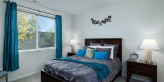 Regency Apartment Homes Gallery 27