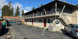 333 Dumont Ave Gallery 2